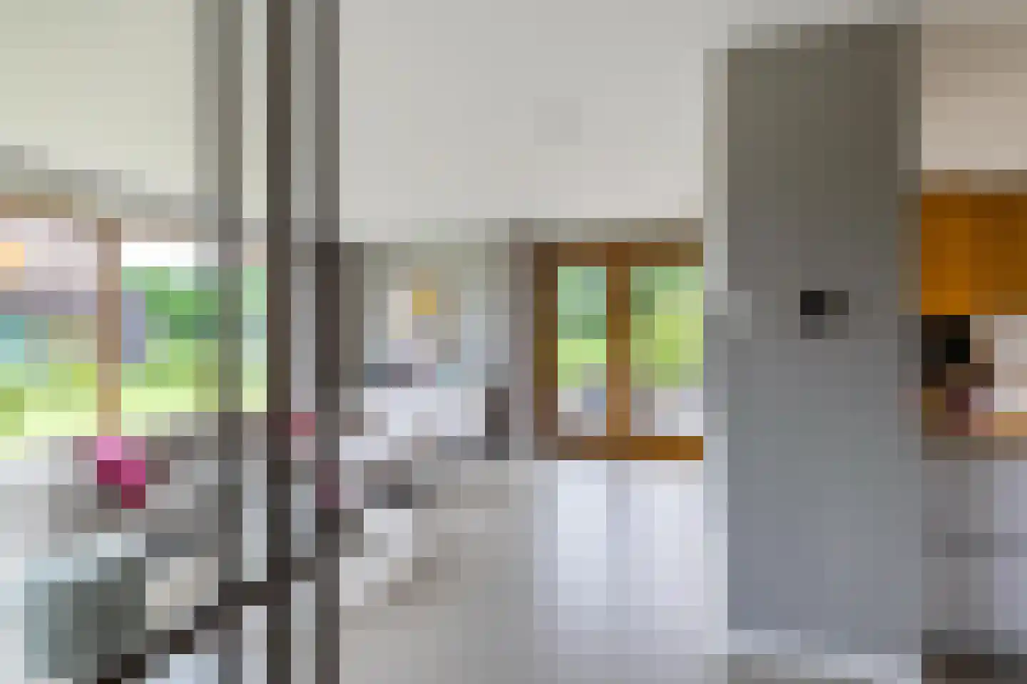 De Smaragdlibel 15 Eelderwolde thumbnail 10