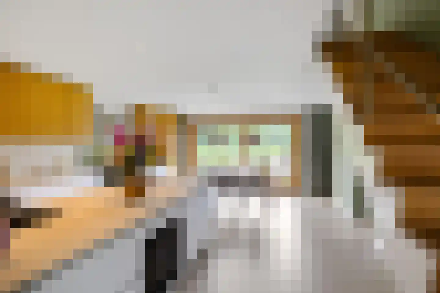De Smaragdlibel 15 Eelderwolde thumbnail 14