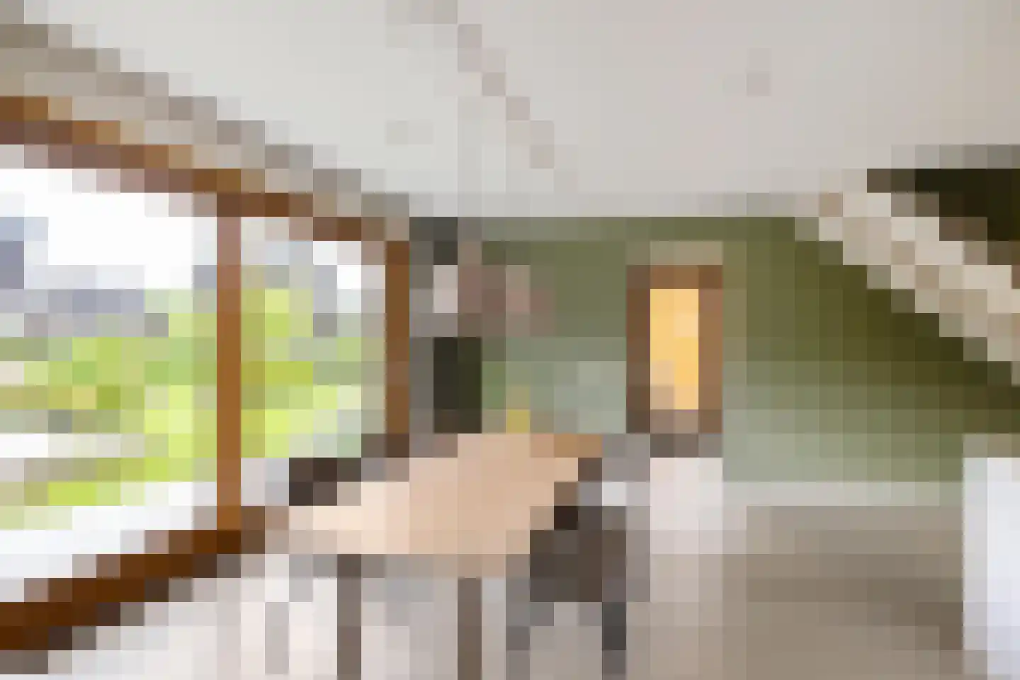 De Smaragdlibel 15 Eelderwolde thumbnail 16
