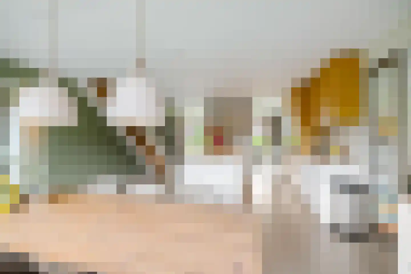 De Smaragdlibel 15 Eelderwolde thumbnail 17