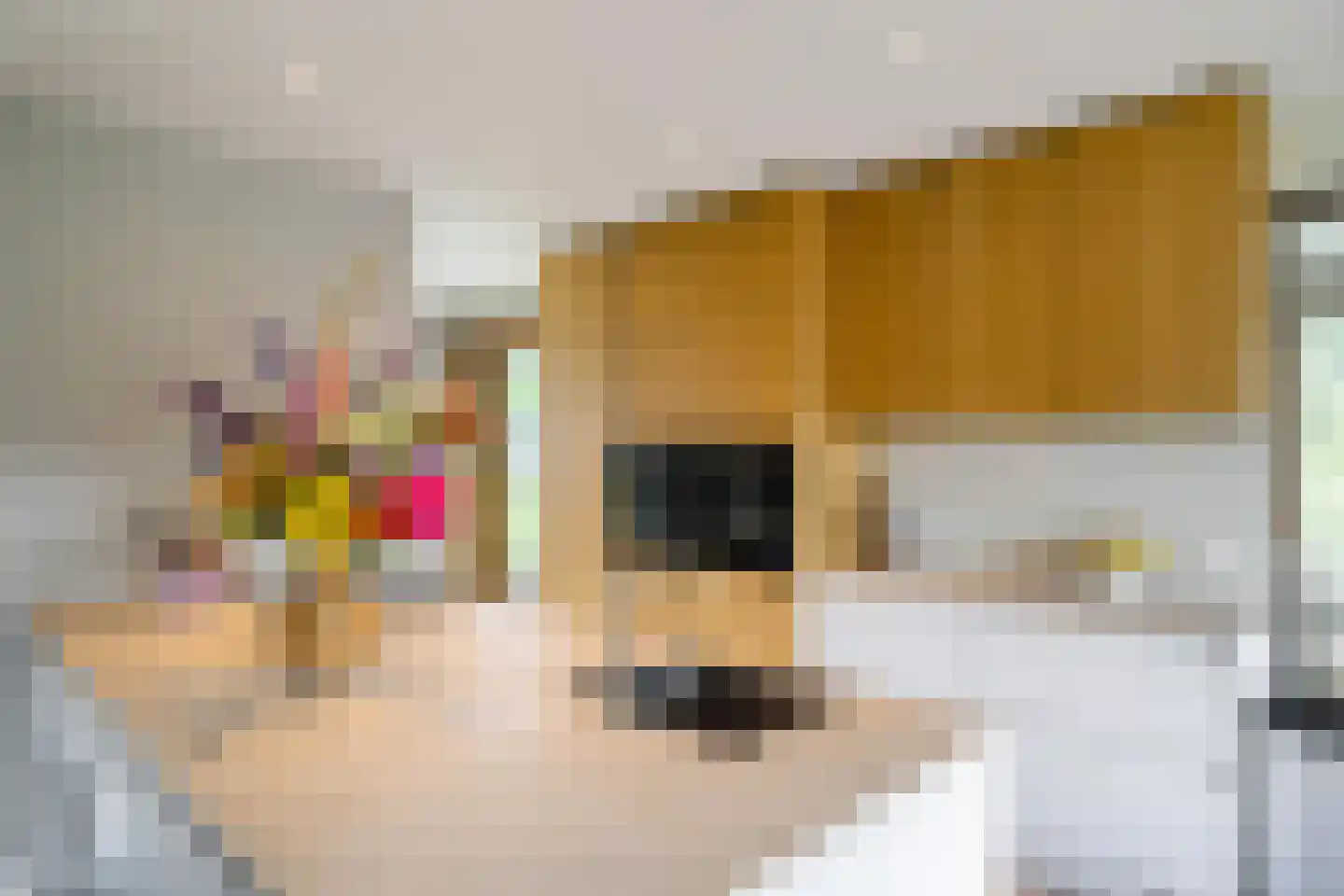 De Smaragdlibel 15 Eelderwolde thumbnail 20