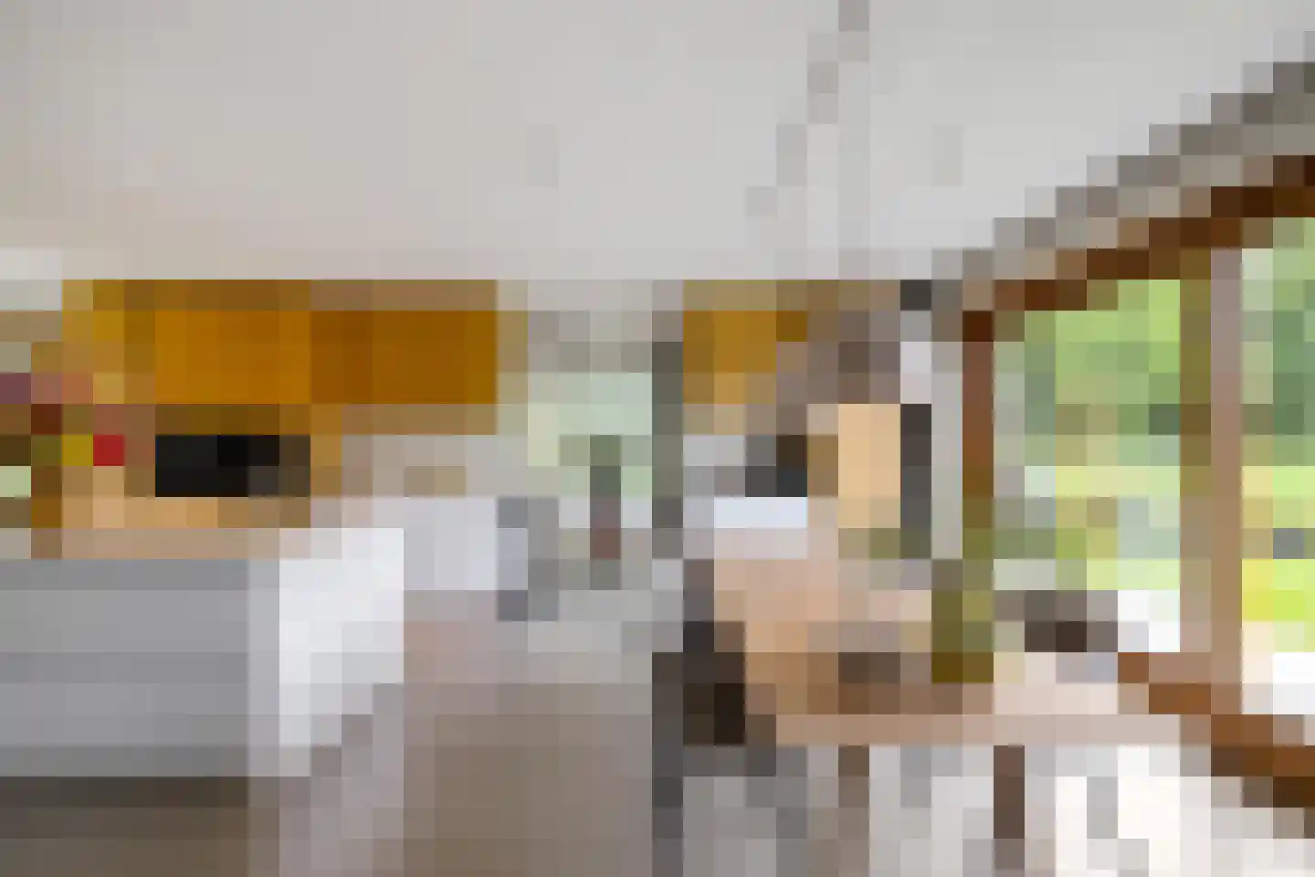 De Smaragdlibel 15 Eelderwolde thumbnail 22