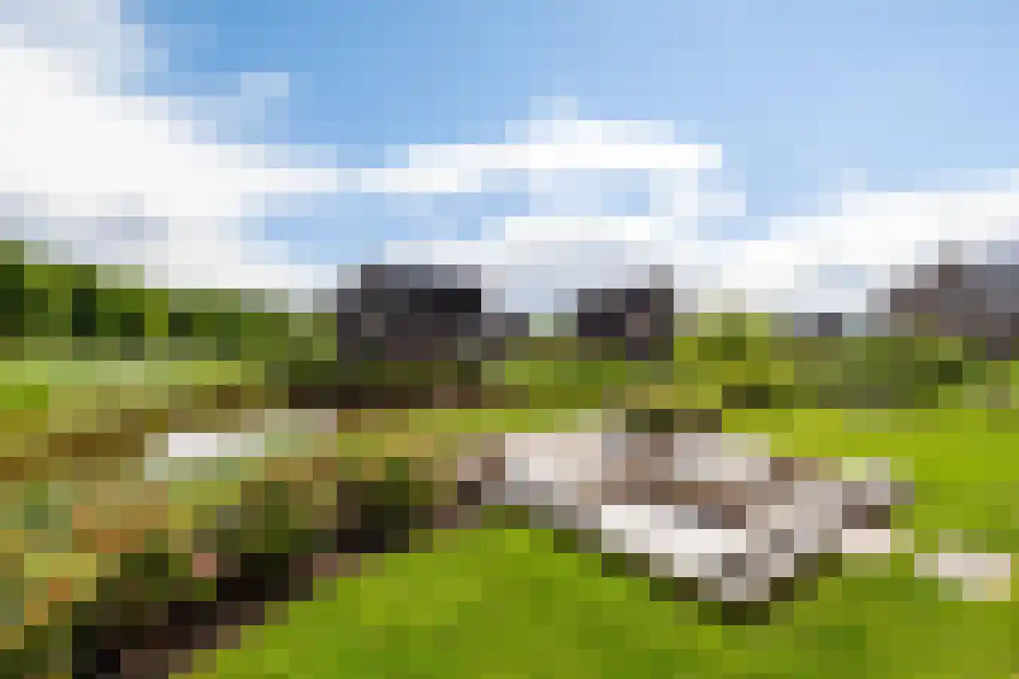 De Smaragdlibel 15 Eelderwolde foto 3