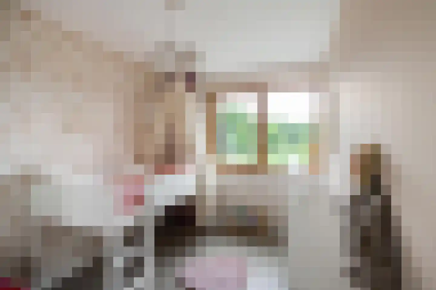 De Smaragdlibel 15 Eelderwolde thumbnail 32