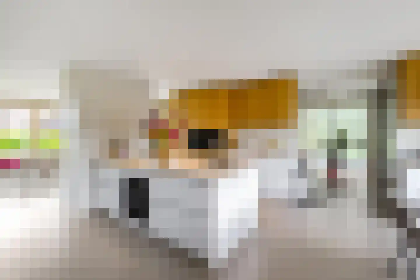 De Smaragdlibel 15 Eelderwolde thumbnail 4
