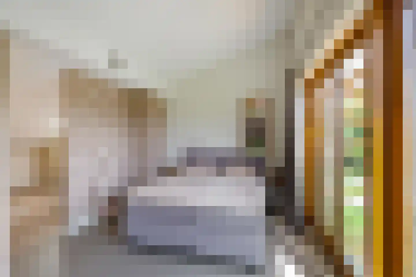 De Smaragdlibel 15 Eelderwolde thumbnail 48