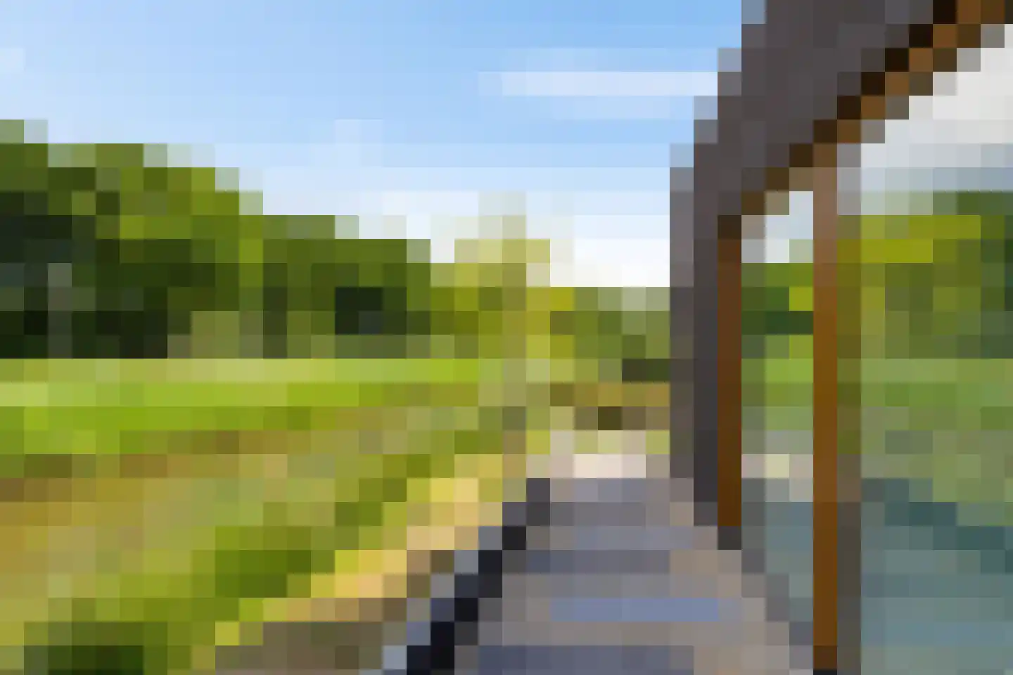 De Smaragdlibel 15 Eelderwolde thumbnail 58