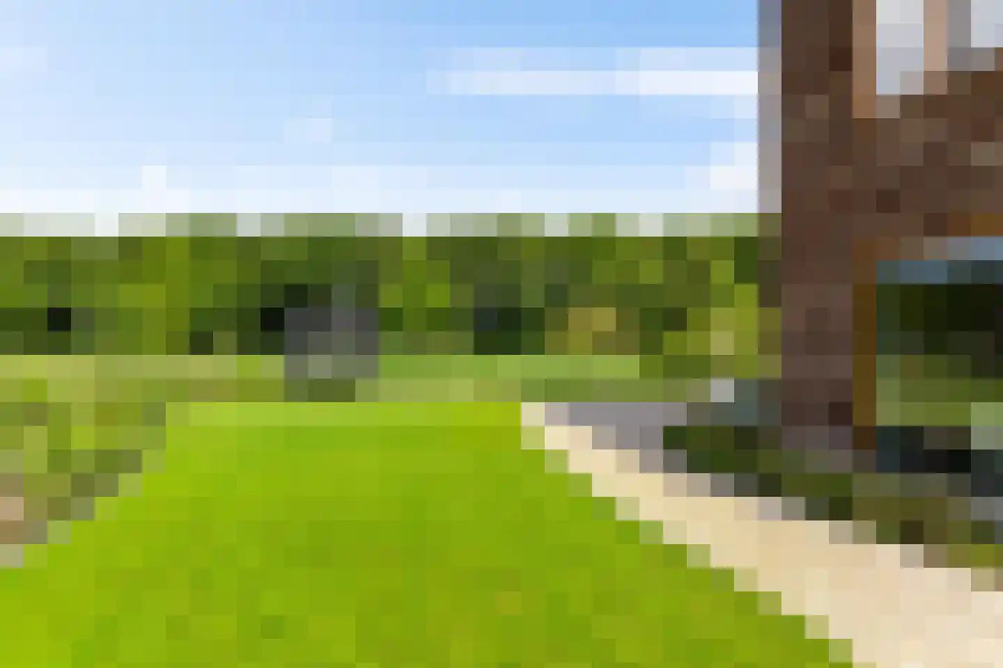 De Smaragdlibel 15 Eelderwolde thumbnail 59