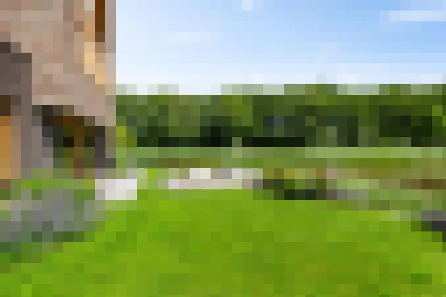 De Smaragdlibel 15 Eelderwolde thumbnail 60