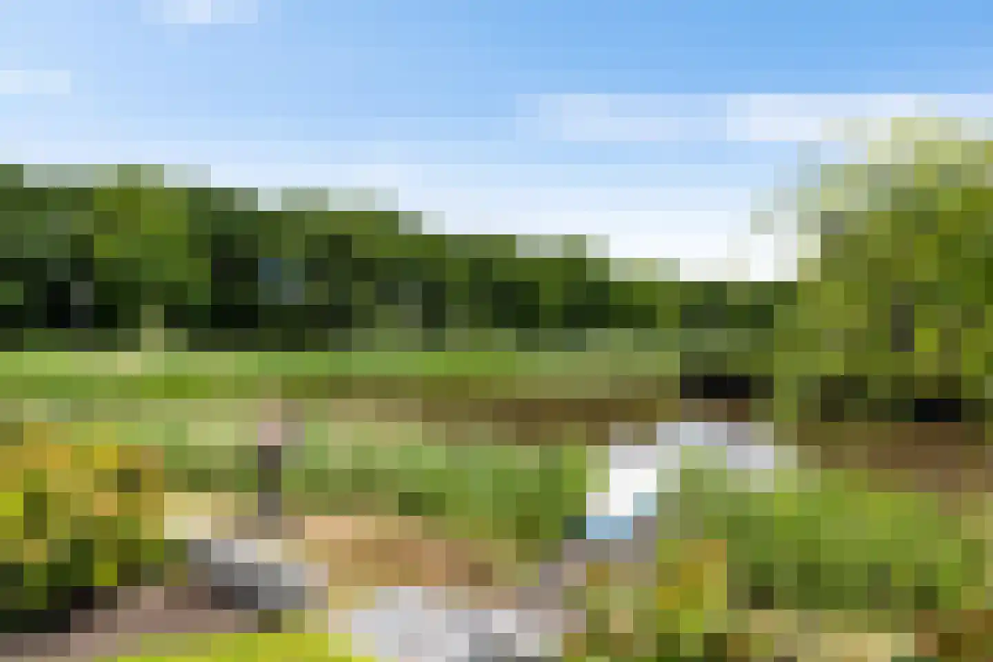 De Smaragdlibel 15 Eelderwolde thumbnail 62