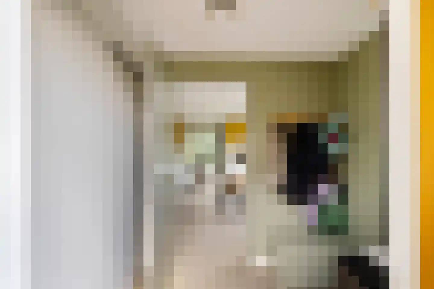 De Smaragdlibel 15 Eelderwolde thumbnail 7