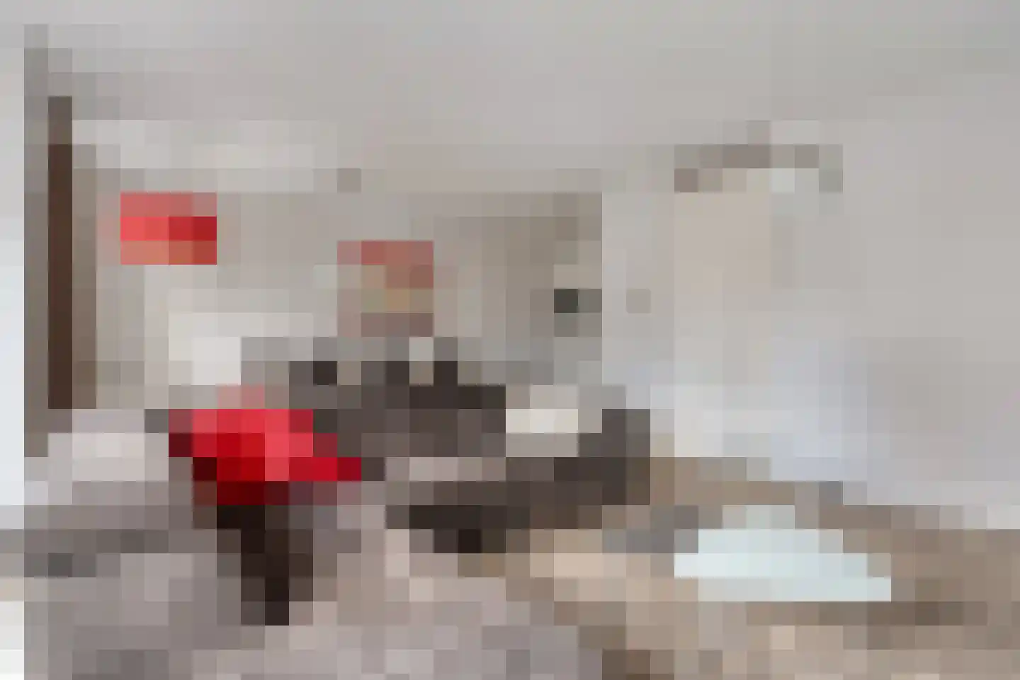 De Smeedtoren 12 Sluis thumbnail 13