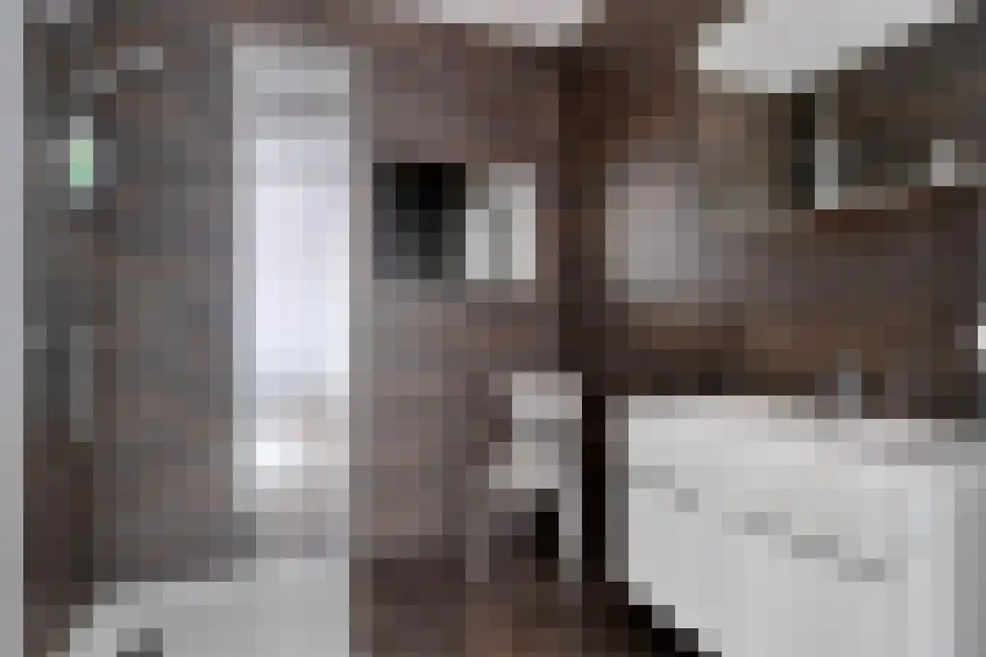 De Smeedtoren 12 Sluis thumbnail 20