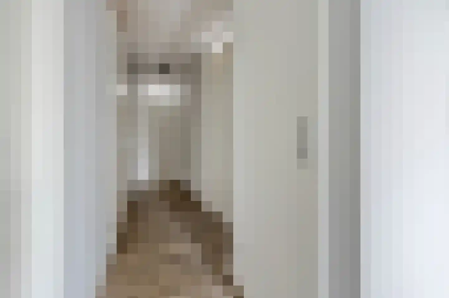 De Smeedtoren 12 Sluis thumbnail 8