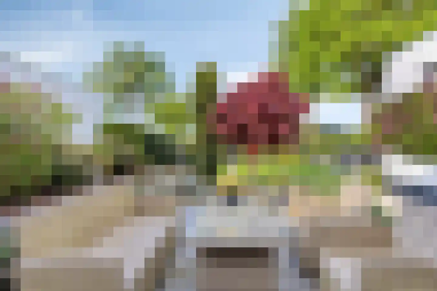 De Smeelen 6 Budel thumbnail 28