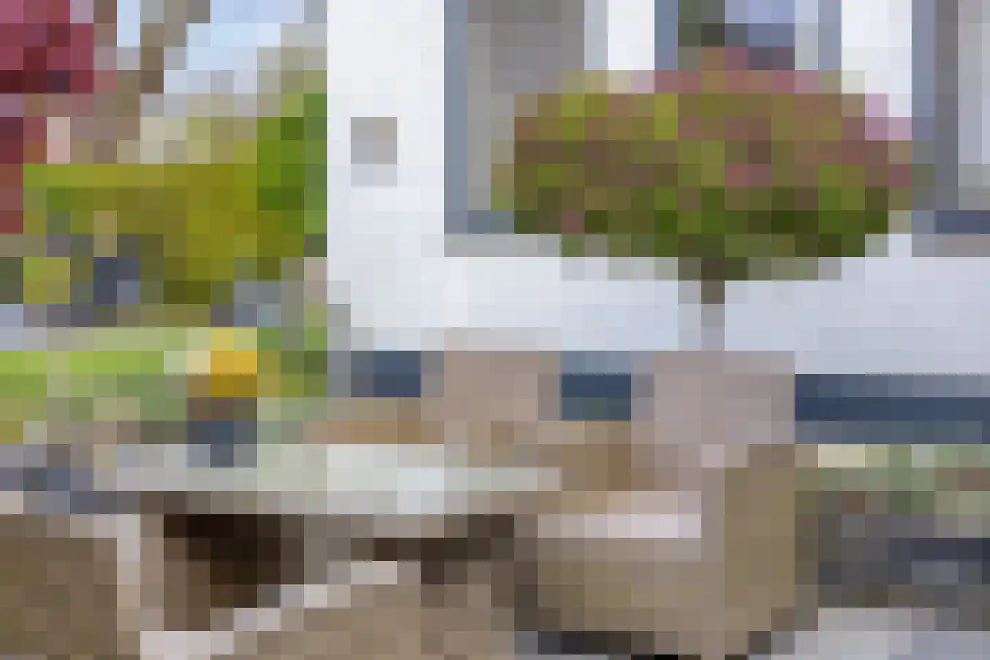 De Smeelen 6 Budel thumbnail 29