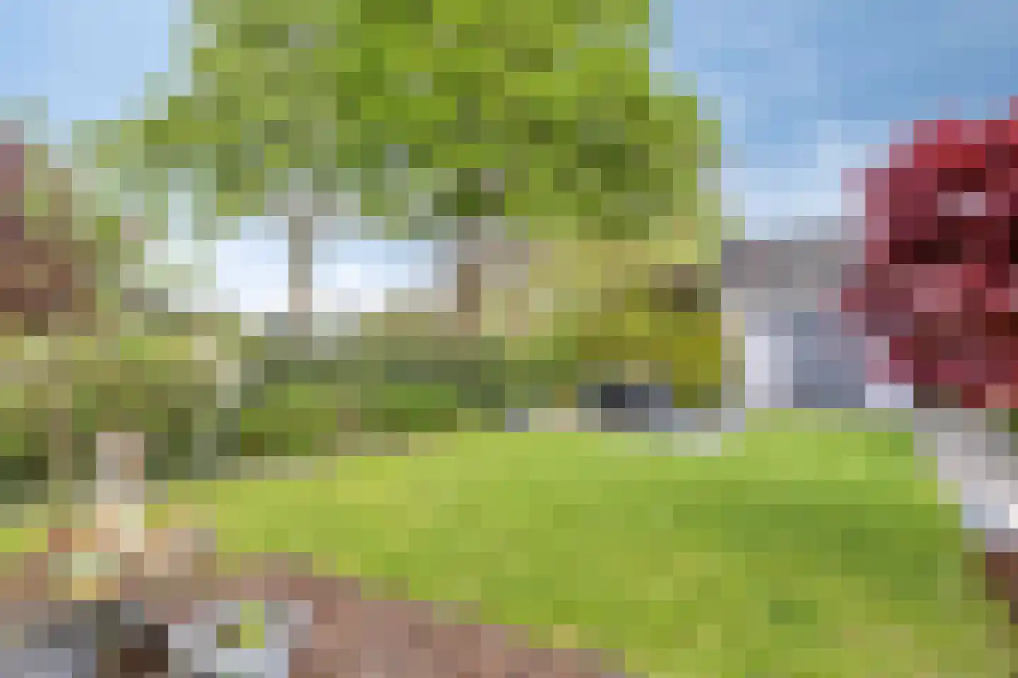 De Smeelen 6 Budel thumbnail 31