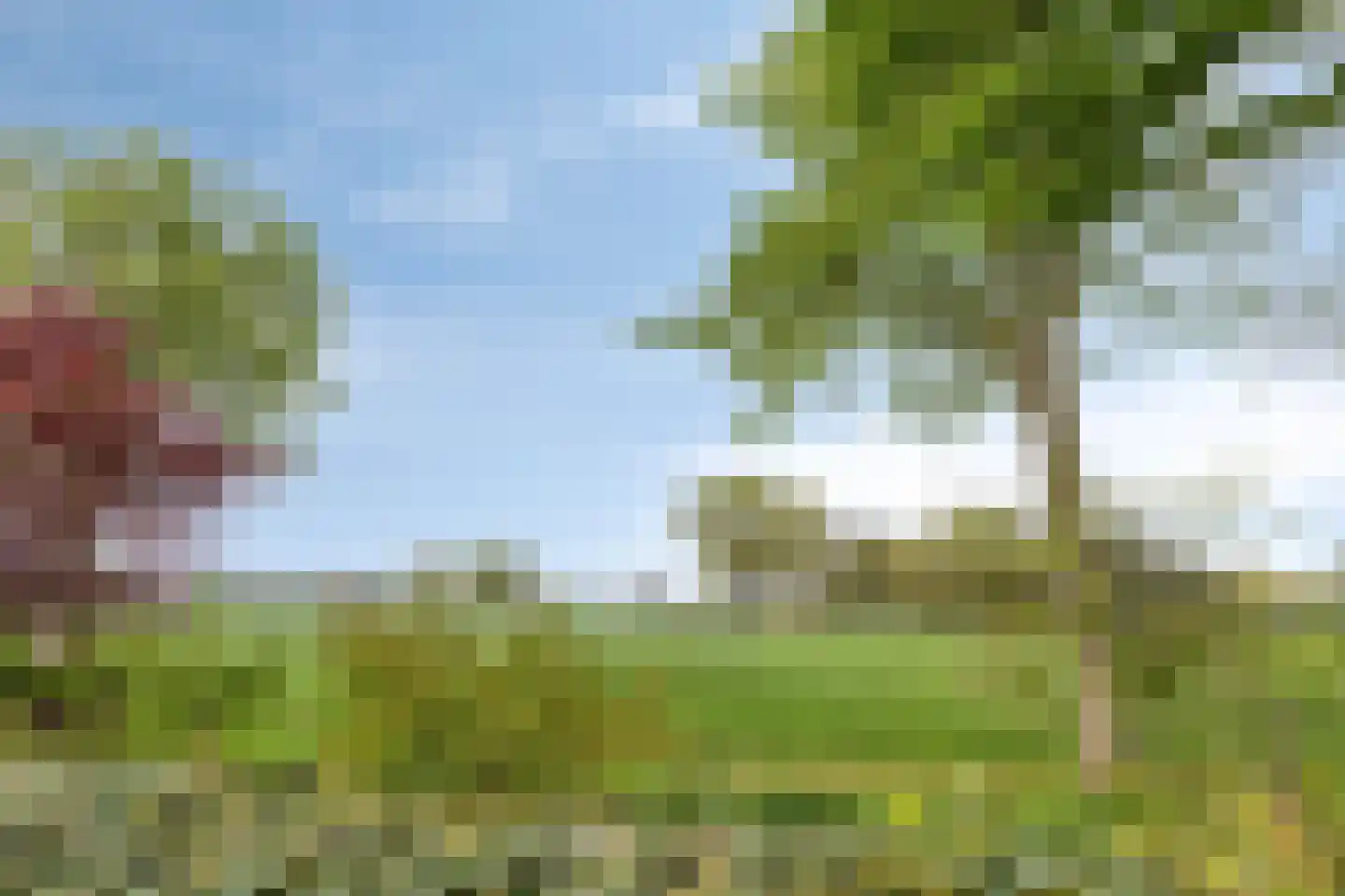 De Smeelen 6 Budel thumbnail 33