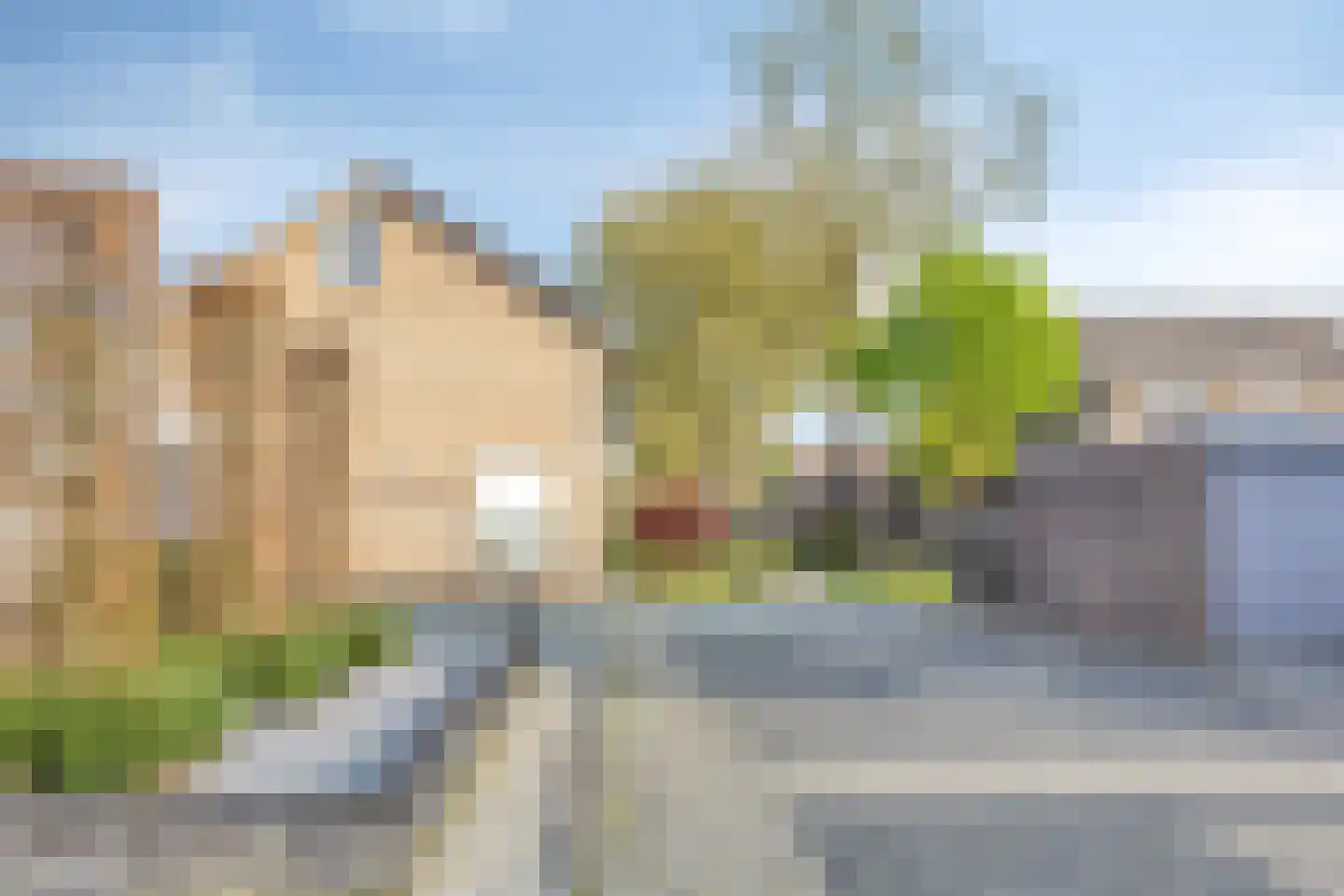 De Smeelen 6 Budel thumbnail 34