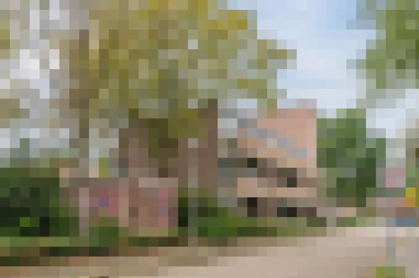 De Smelen 103 Valkenswaard thumbnail 27