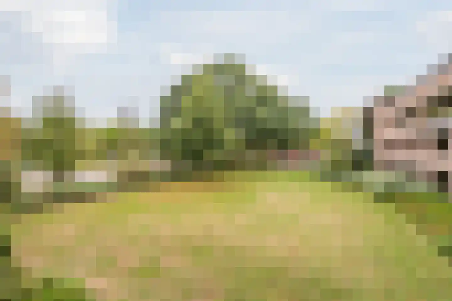 De Smelen 103 Valkenswaard thumbnail 28