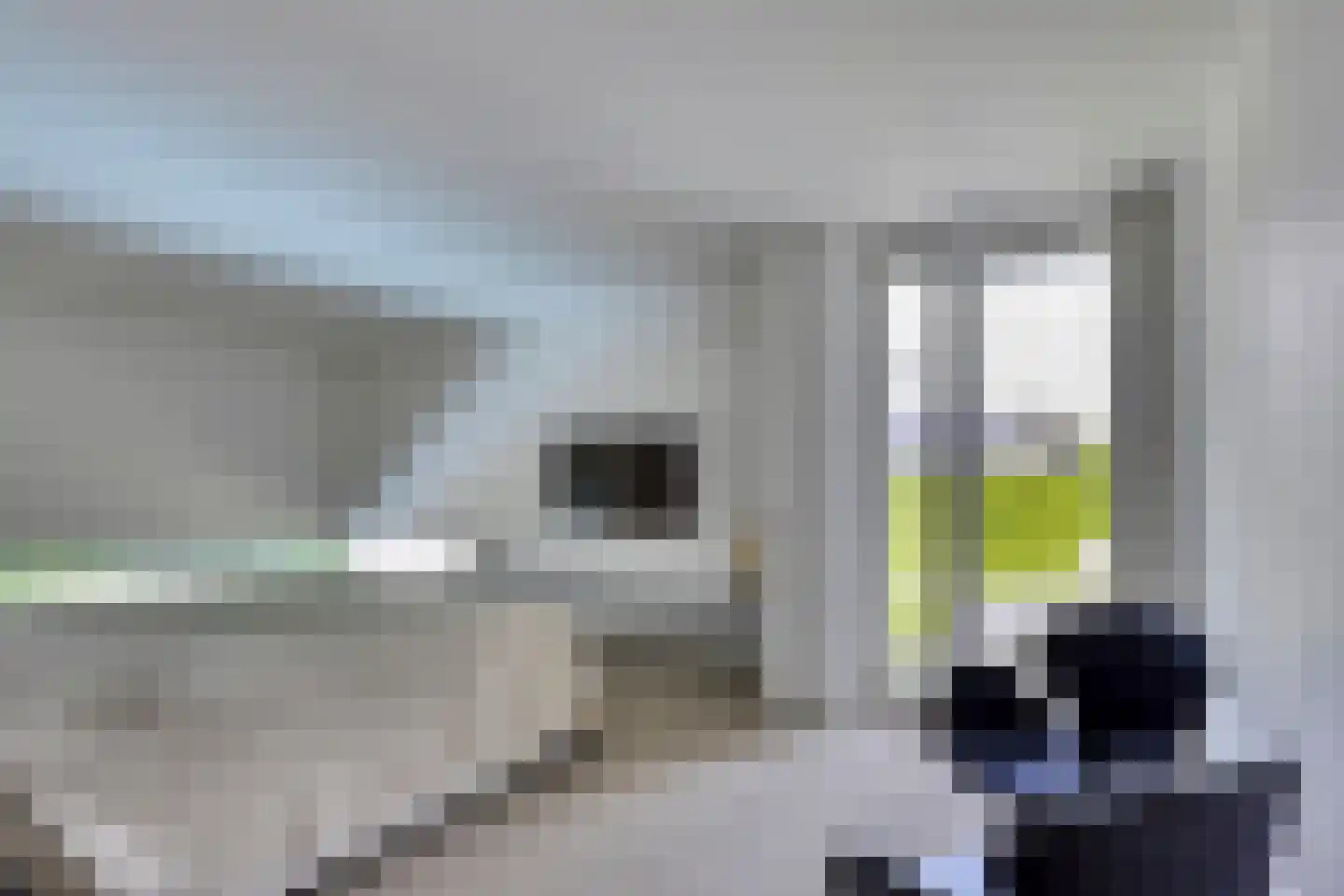 De Smelen 113 Valkenswaard thumbnail 16