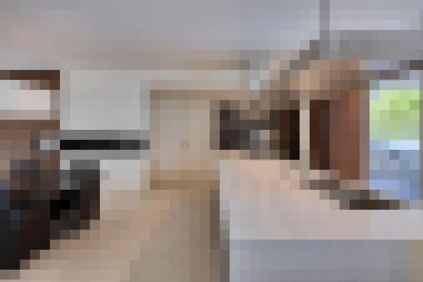 De Smelen 113 Valkenswaard thumbnail 8