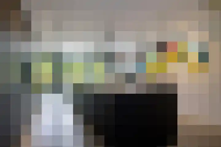 De Smelen 115 Valkenswaard thumbnail 11