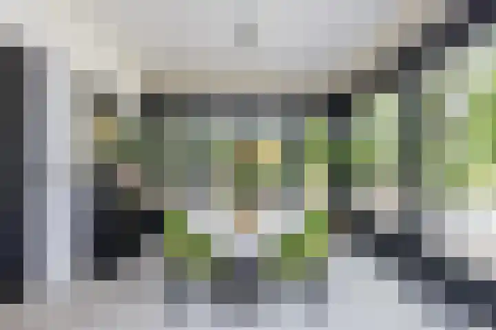 De Smelen 115 Valkenswaard thumbnail 13