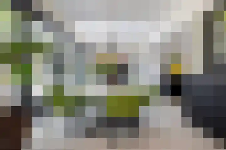 De Smelen 115 Valkenswaard thumbnail 14