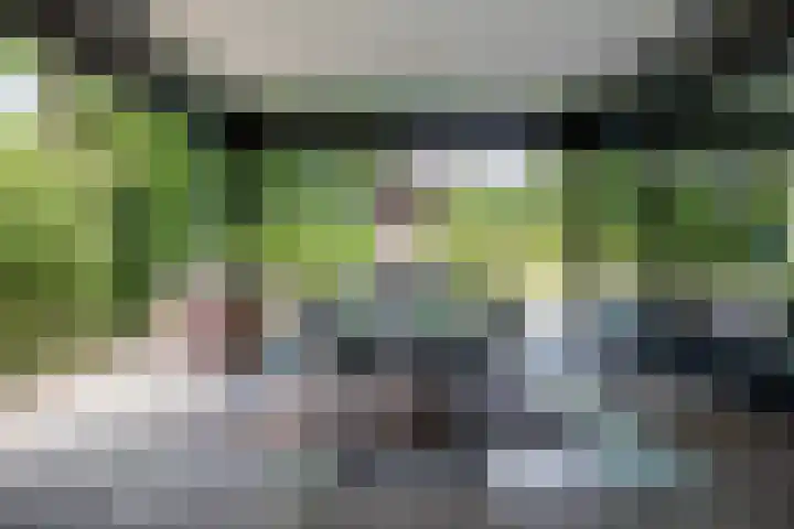 De Smelen 115 Valkenswaard thumbnail 29