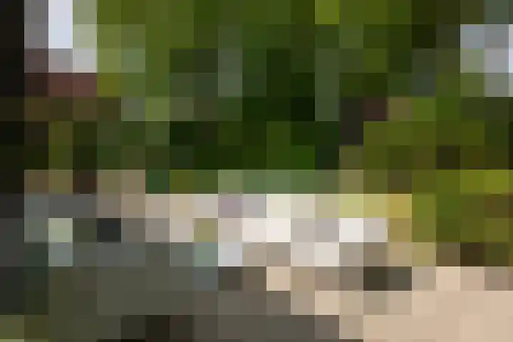 De Smelen 115 Valkenswaard thumbnail 31