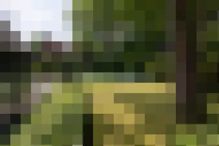 De Smelen 115 Valkenswaard thumbnail 32