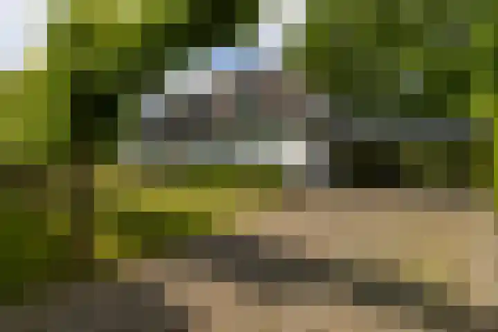 De Smelen 115 Valkenswaard thumbnail 33