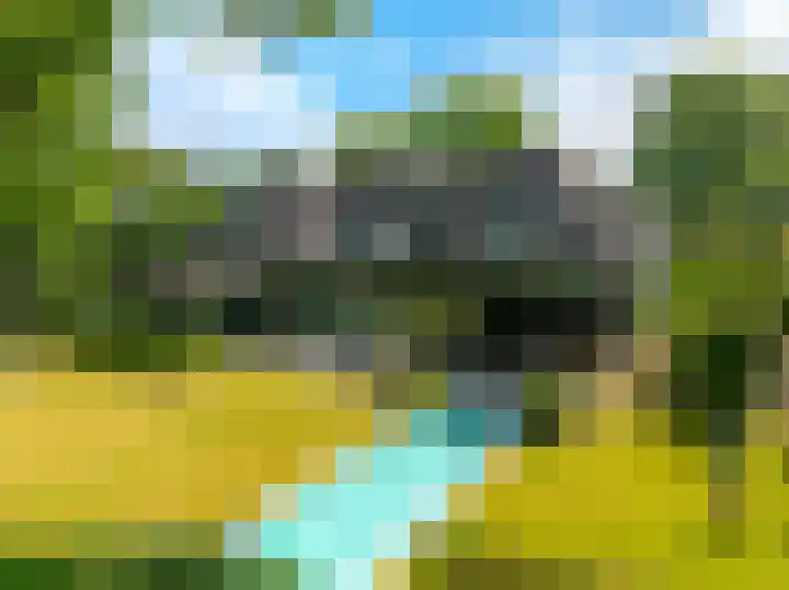 De Smelen 115 Valkenswaard thumbnail 34