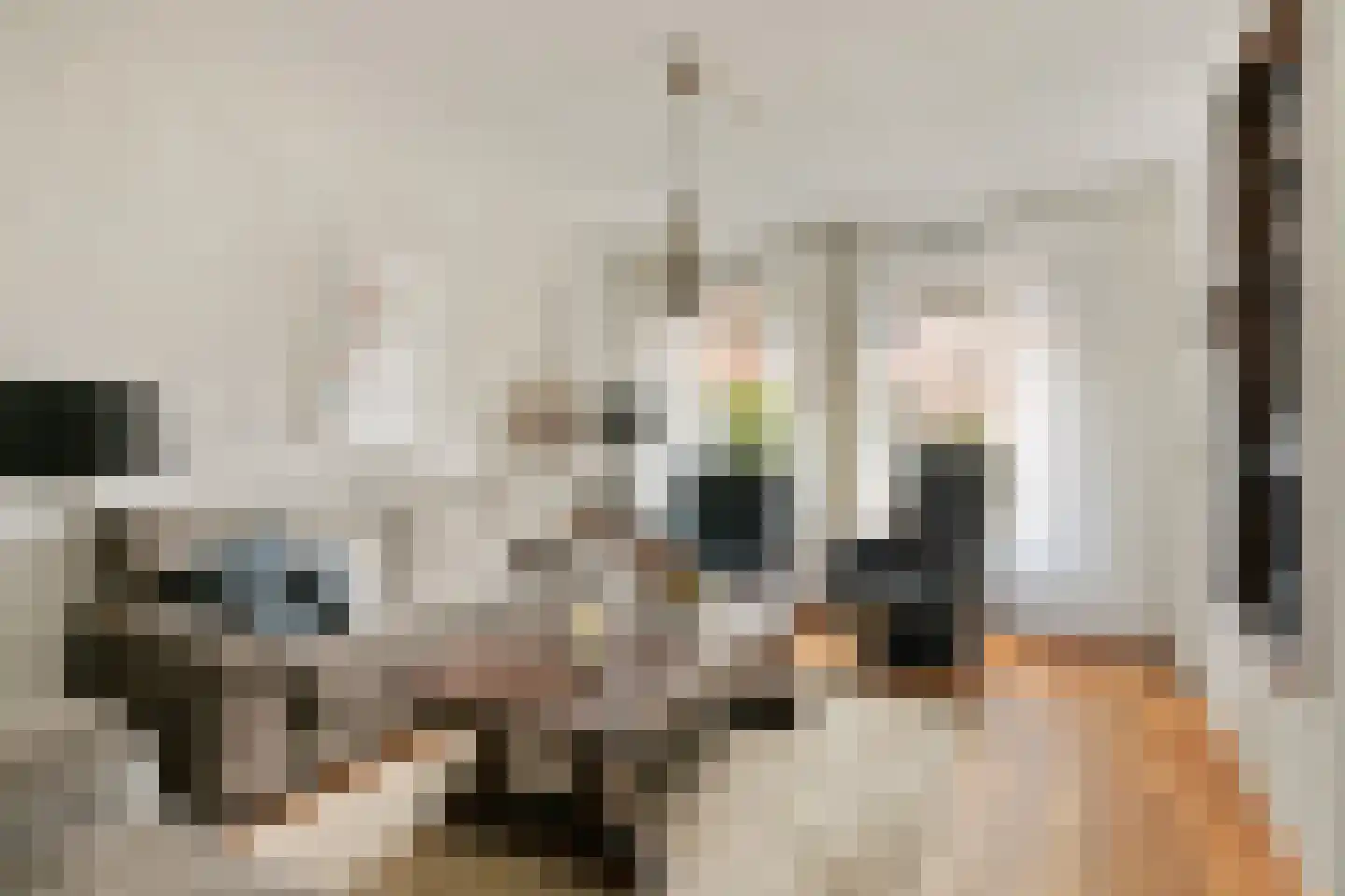De Smelen 37 Bladel thumbnail 11