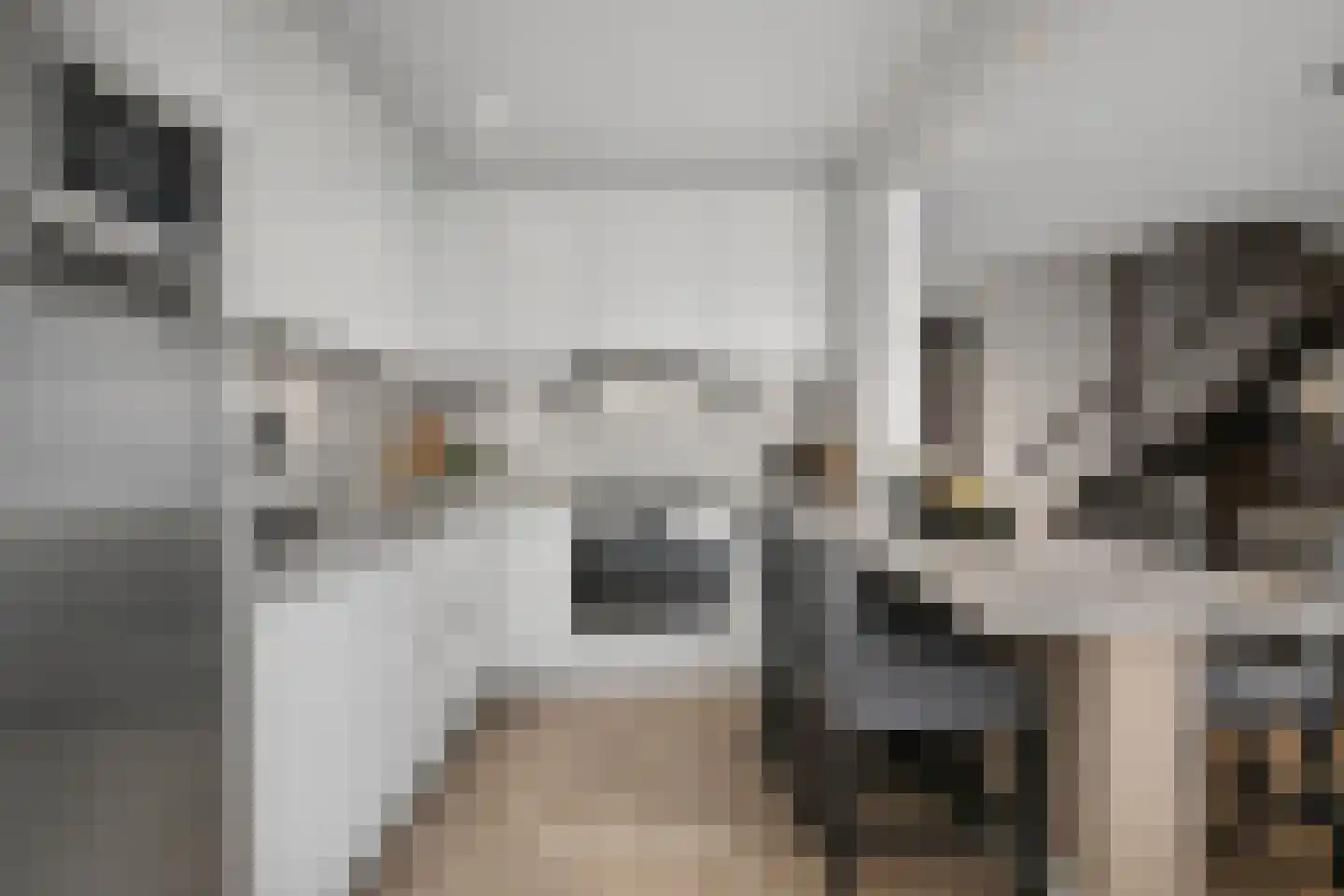 De Smelen 37 Bladel thumbnail 16