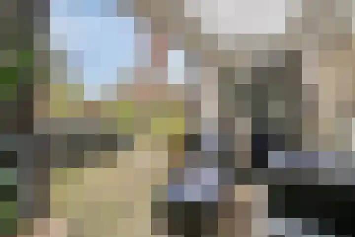 De Smelen 37 Bladel thumbnail 26