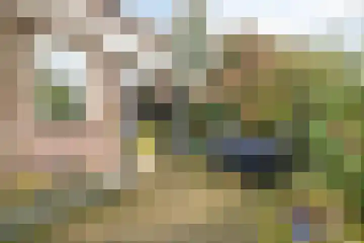 De Smelen 37 Bladel thumbnail 27