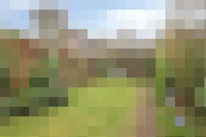 De Smelen 37 Bladel thumbnail 29