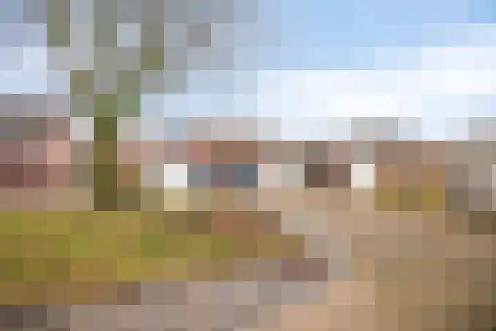 De Smelen 37 Bladel thumbnail 30