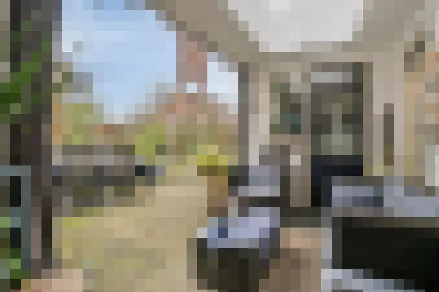 De Smelen 37 Bladel thumbnail 31
