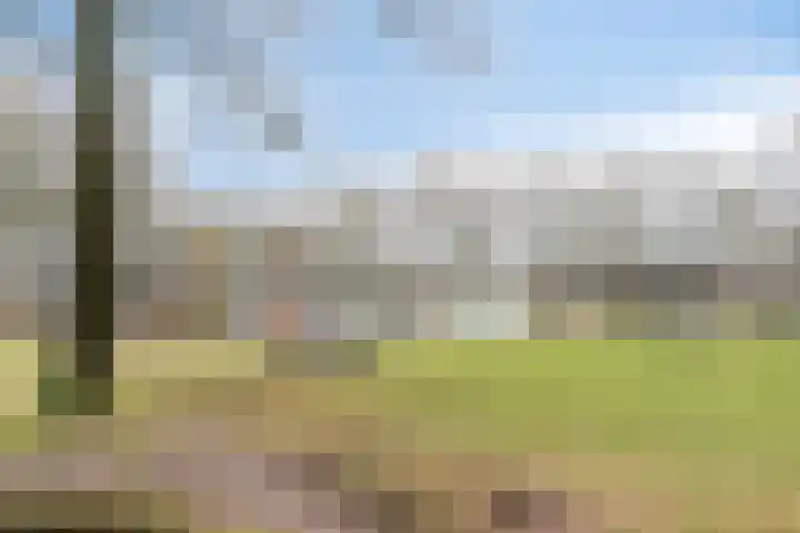 De Smelen 37 Bladel thumbnail 32