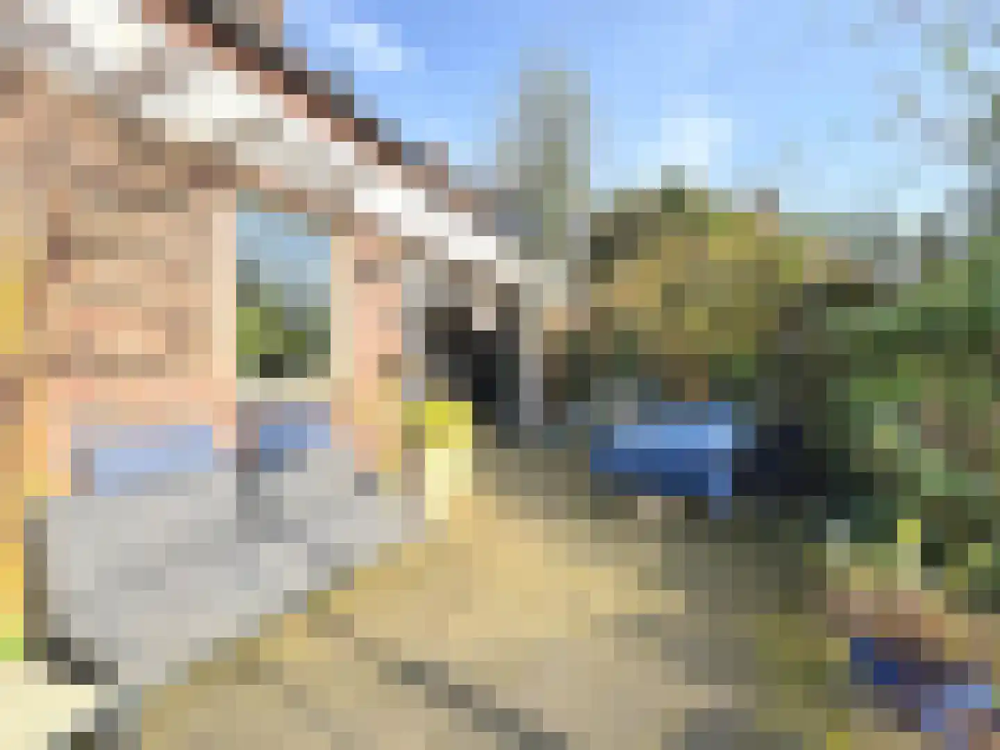 De Smelen 37 Bladel thumbnail 33