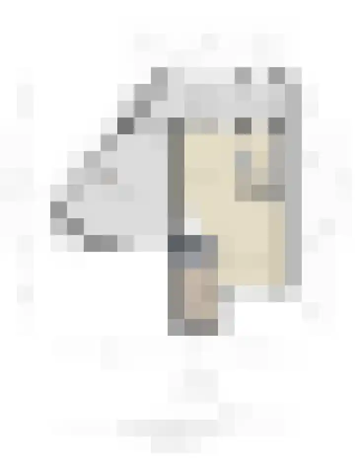 De Smelen 37 Bladel thumbnail 34