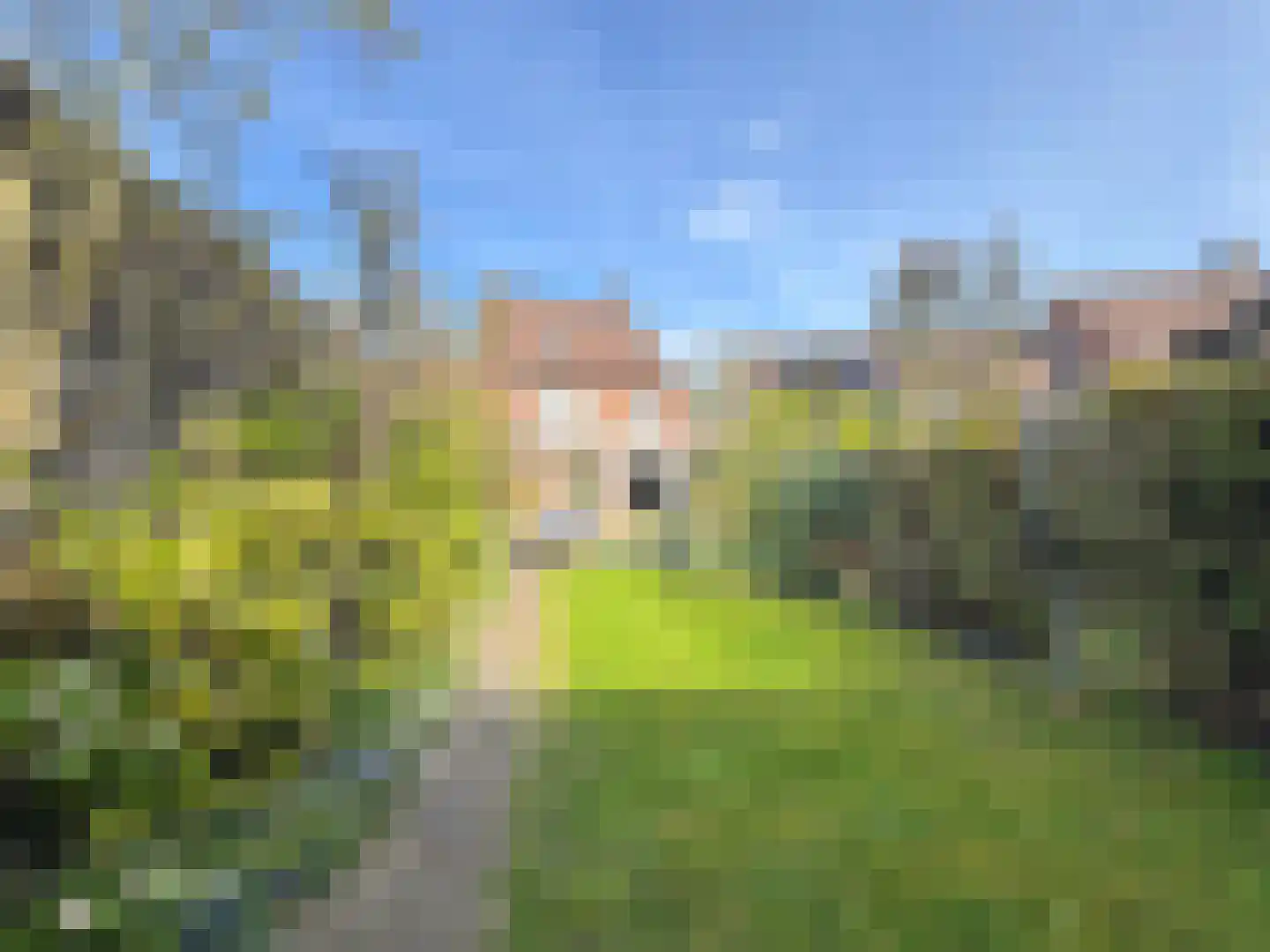 De Smelen 37 Bladel thumbnail 36