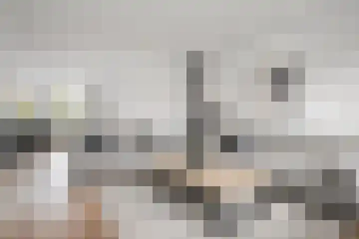 De Smelen 37 Bladel thumbnail 5