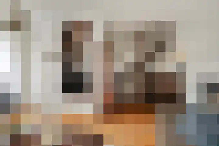 De Smelen 37 Bladel thumbnail 7