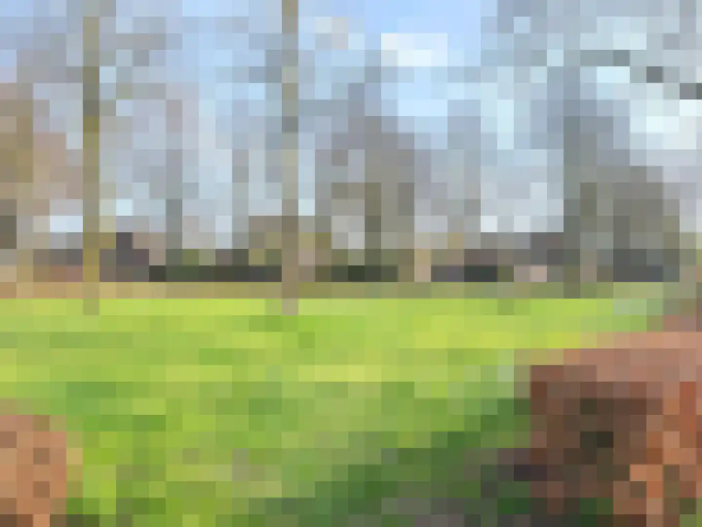 De Smelen 37 Bladel thumbnail 8