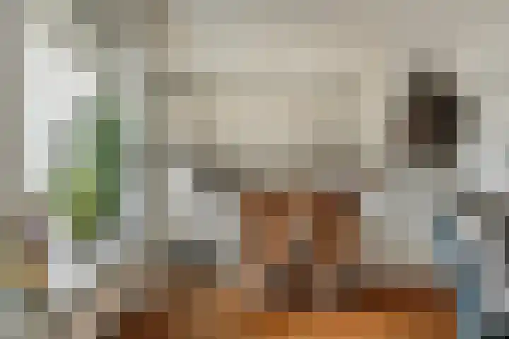 De Smelen 37 Bladel thumbnail 9